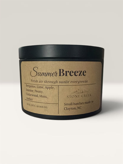 14 oz Wickless Candles