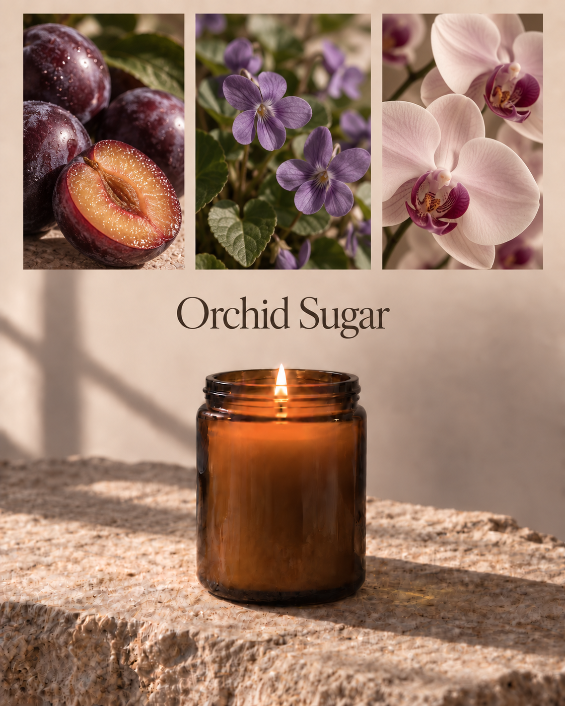 Orchid Sugar